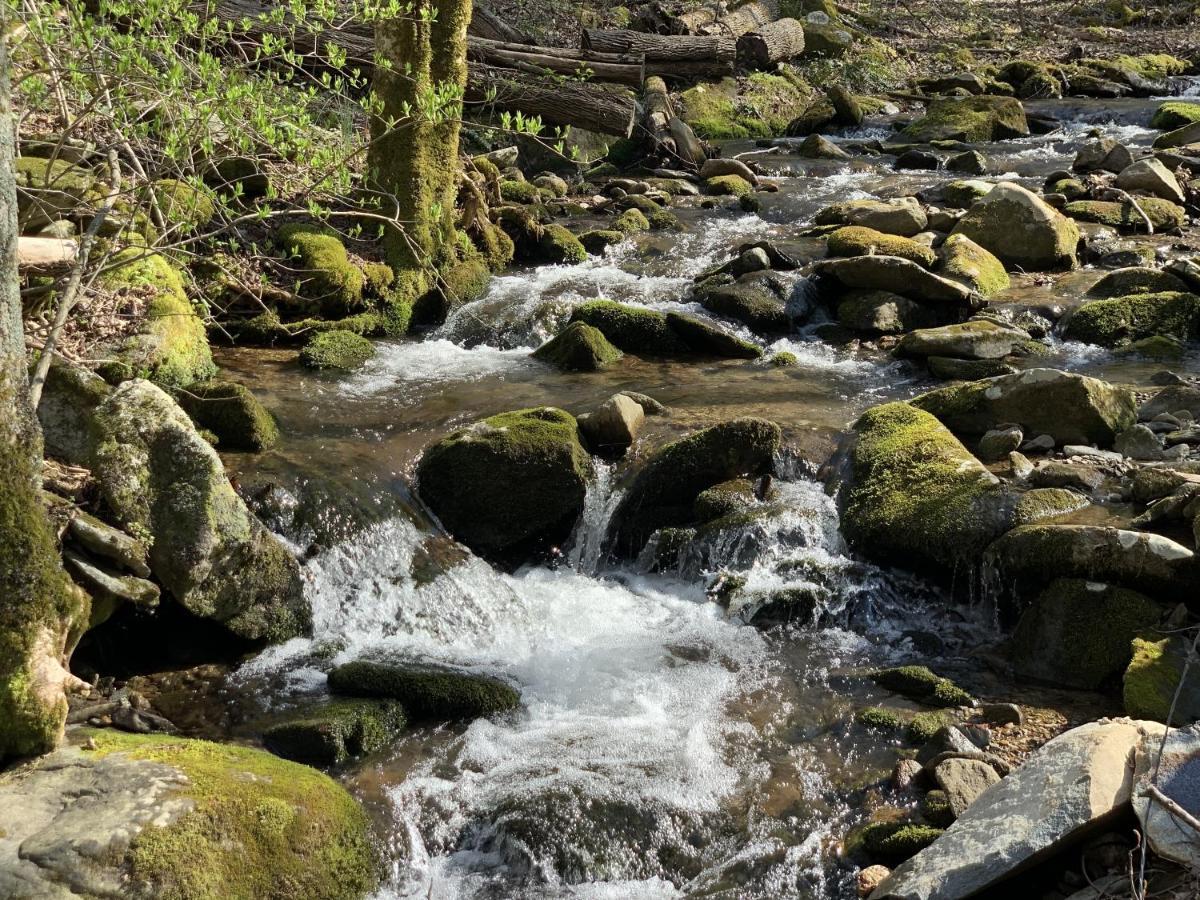 Little Mountain Hideaway Cabin Pigeon Forge Ngoại thất bức ảnh